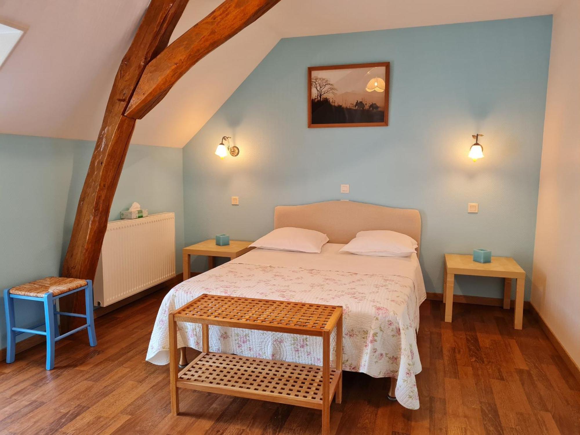 Chambres D'Hotes Renovees Pres Des Chateaux De La Loire Avec Experience Ulm Possible - Fr-1-590-309 Cravant  エクステリア 写真